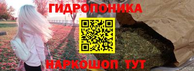 шишки Северобайкальск