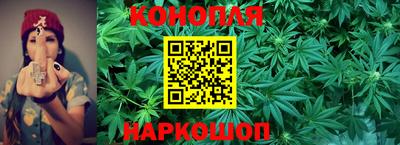 СК Севастополь