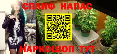 СК Севастополь
