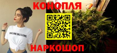 СК Севастополь